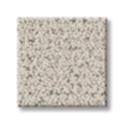 Shaw Washington Heights Wool Pattern Carpet with Pet Perfect-Sample